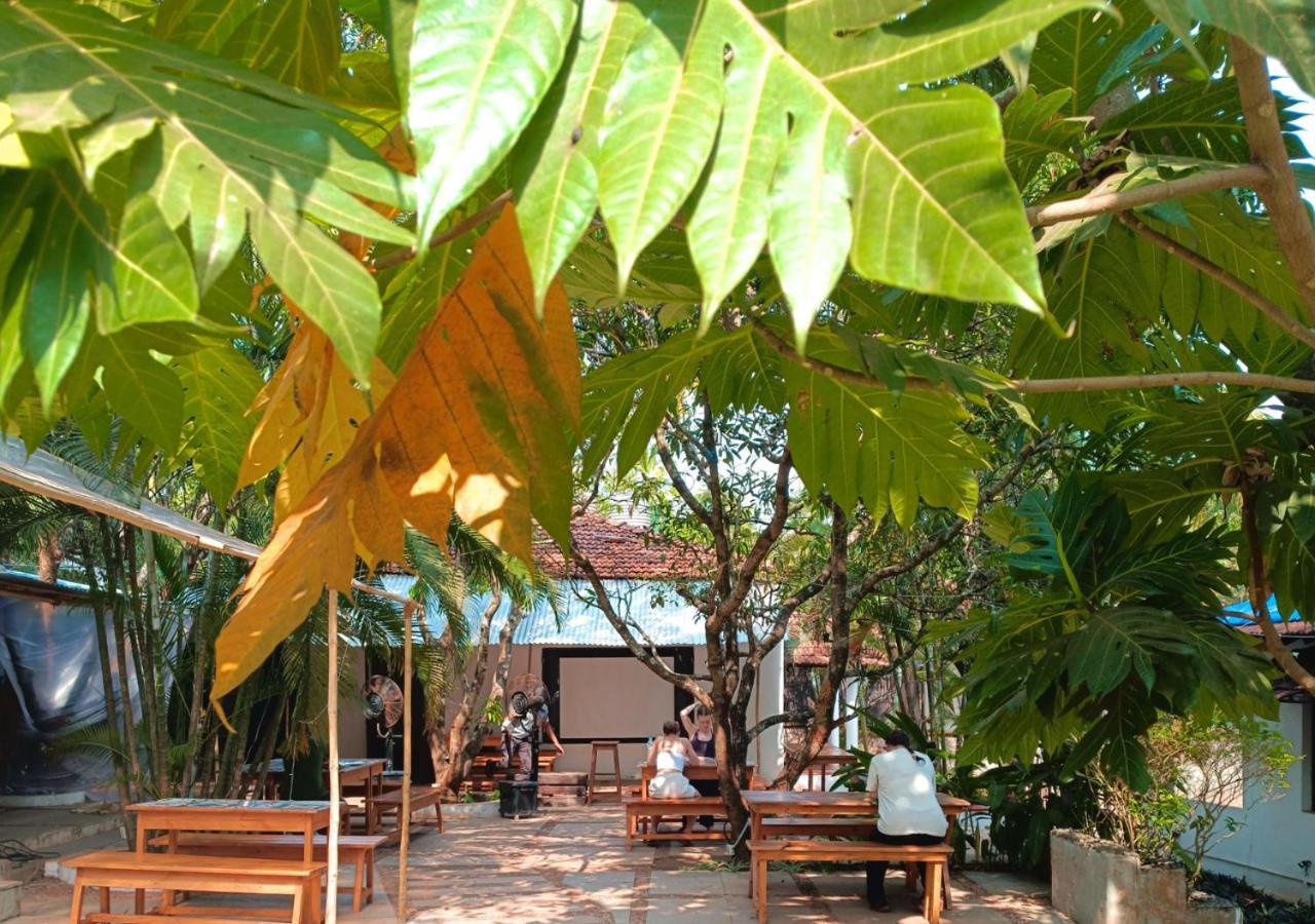 The Funky Monkey Hostel 안주나 외부 사진